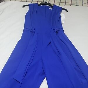 Shelby & Palmer Royal Blue Jumpsuit